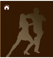 Festival internazionale della salsa
