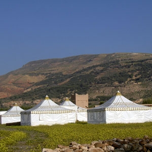 La staffetta berbera