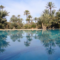 Appartamento Palmeraie