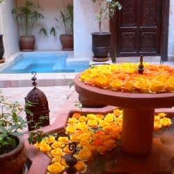 Riad alias mehmood