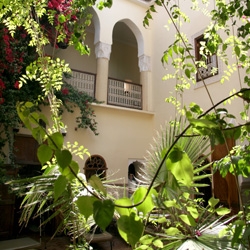 Dar El aila