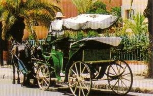 La carrozza cavallo