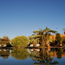 I Giardini di Issil - Guliez