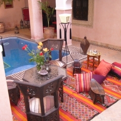 Riad la rosa in Medio Oriente