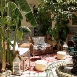 Limoun Amara Riad