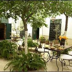 Dar jamila
