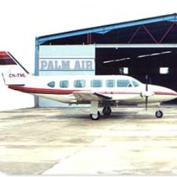 Con Palmair dall'aviazione
