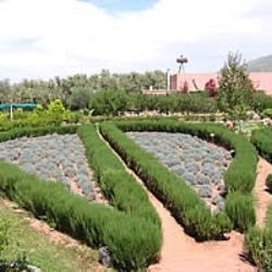 Il giardino bio aromatico dell'Ourika