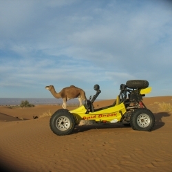 Raid BUGGY